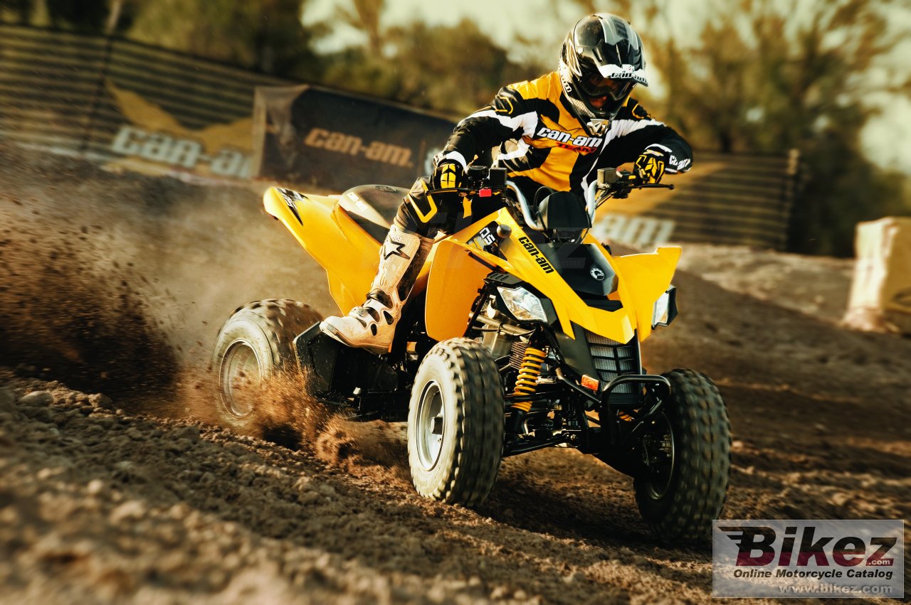 Big Can-Am ds 250 picture and wallpaper from Bikez.com
